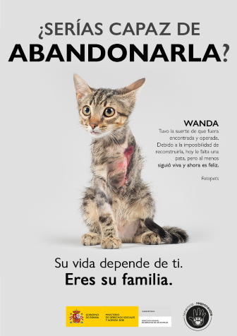WANDA